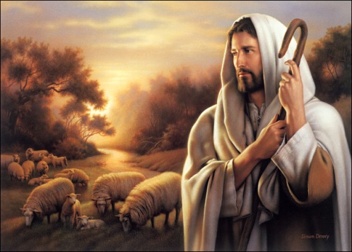 david bible shepherd